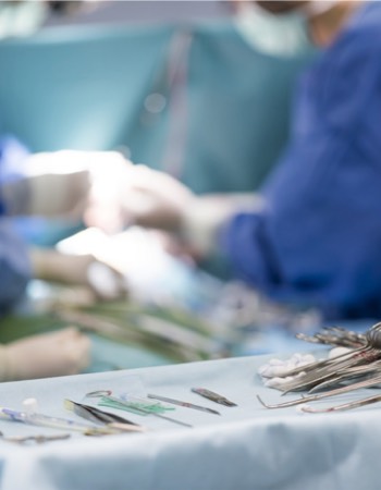 chirurgie vétérinaire