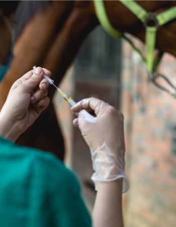 Injection de plasma riche